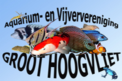 Aquarium- en Vijververeniging Groot Hoogvliet